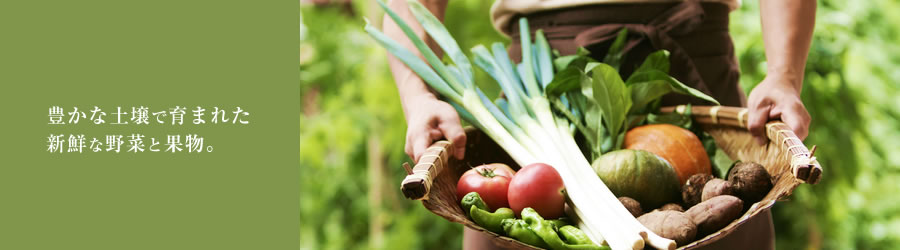 豊かな土壌で育まれた新鮮な野菜と果物。